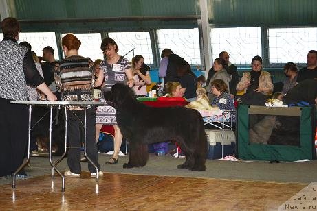 Фотография № 122817