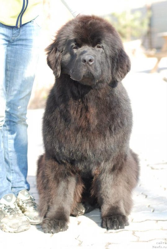 Фотография № 122823