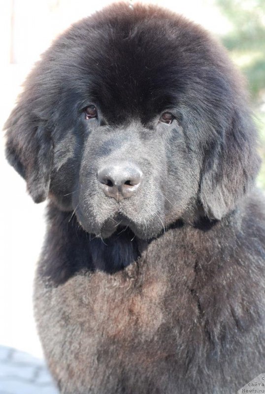 Фотография № 122824