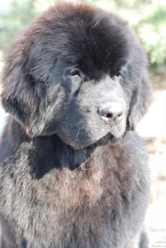 Фотография № 122825