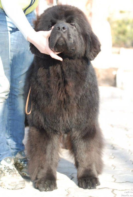 Фотография № 122826