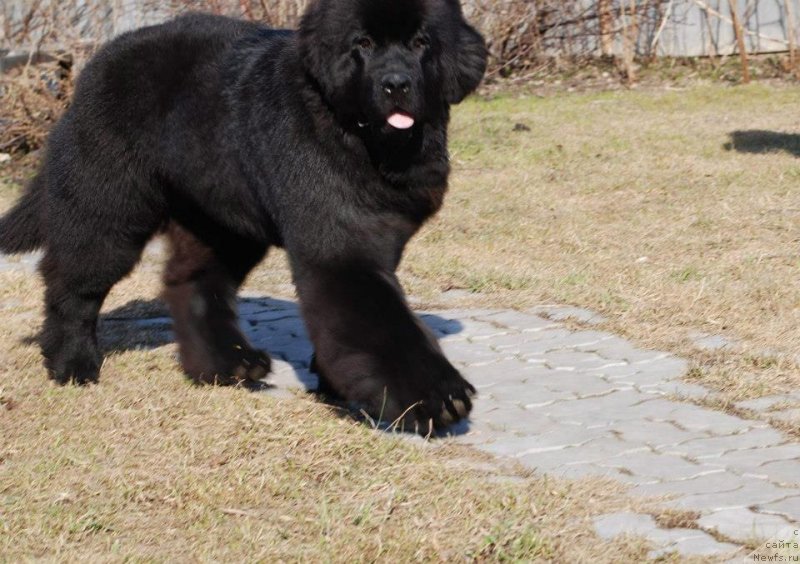 Фотография № 122827