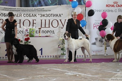 Фотография № 122836