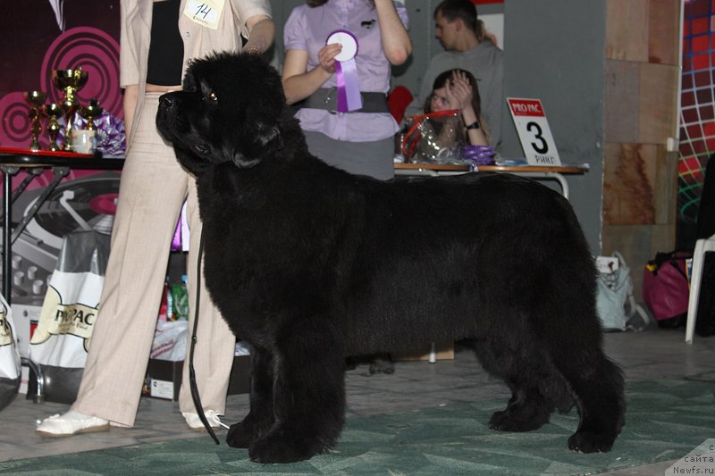 Фотография № 122857