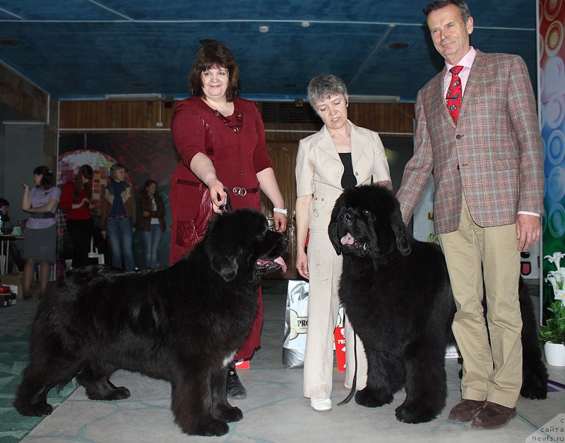 Фотография № 122861