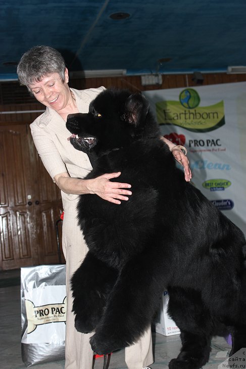 Фотография № 122863