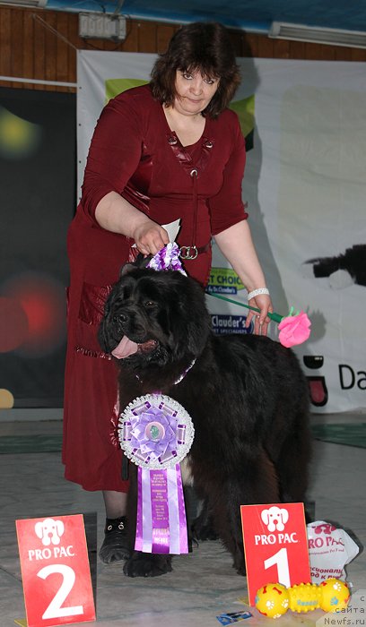 Фотография № 122868