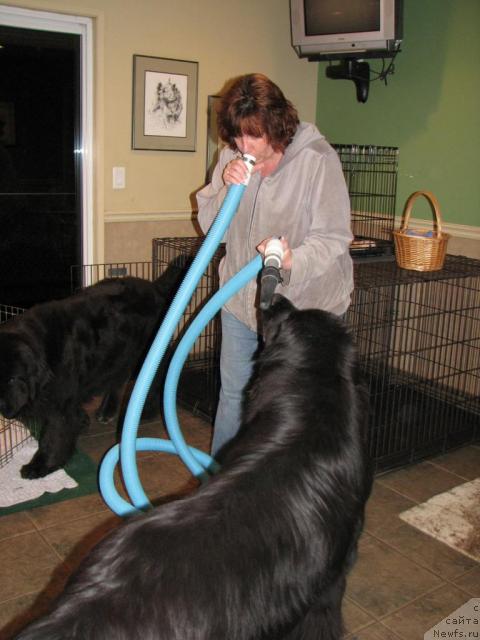 Фотография № 12287