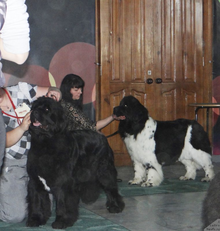 Фотография № 122873