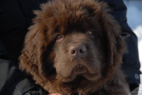 Фотография № 122888