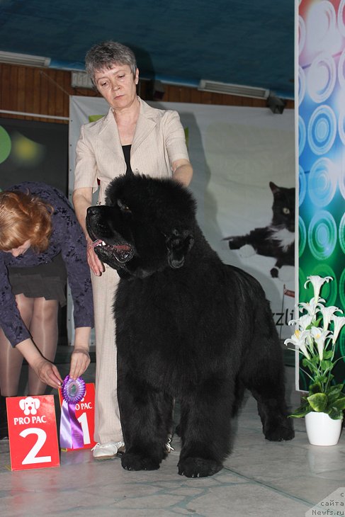 Фотография № 122903