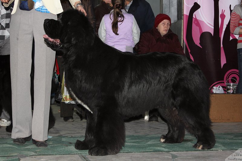 Фотография № 122915