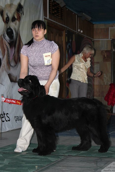 Фотография № 122924