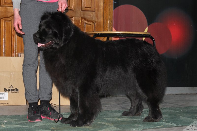 Фотография № 122925