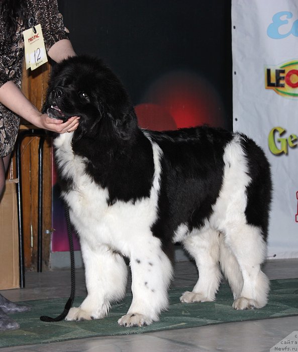 Фотография № 122926