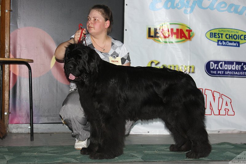 Фотография № 122942