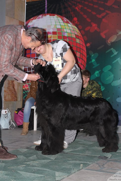 Фотография № 122950