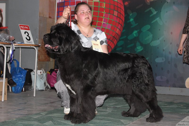 Фотография № 122951