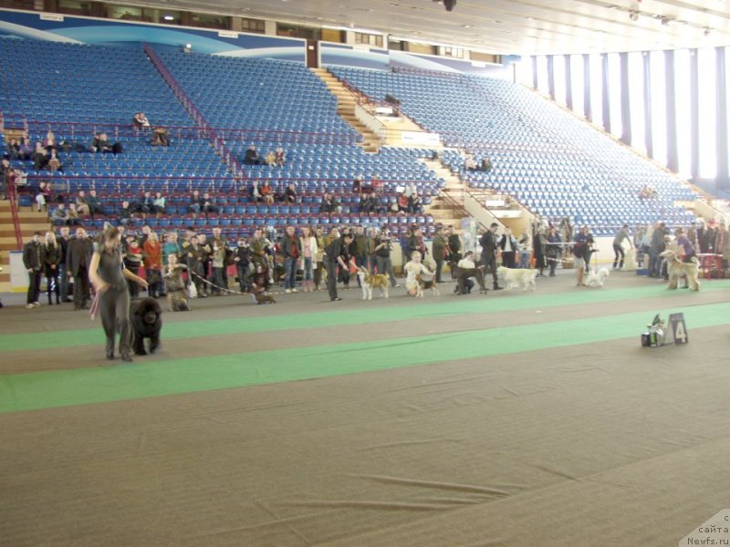 Фотография № 123006