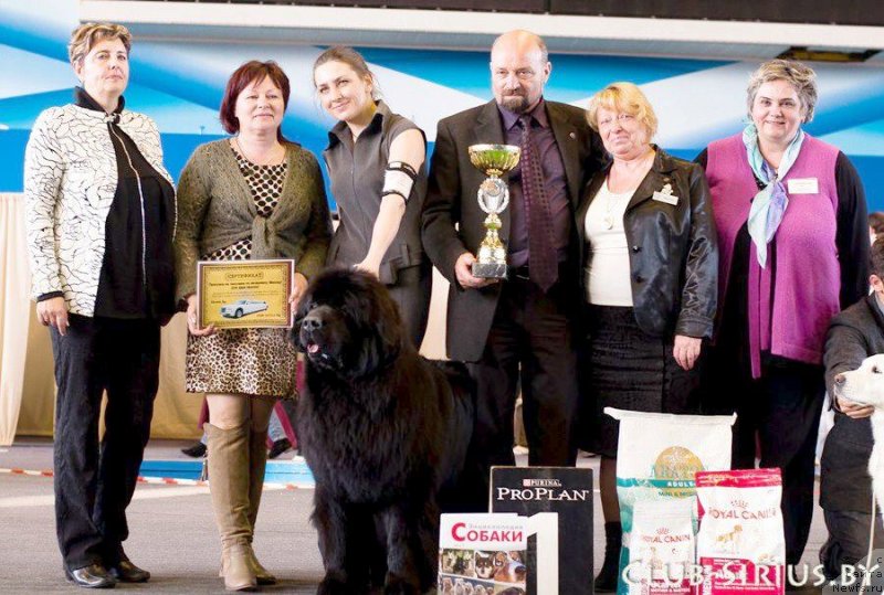 Фотография № 123007