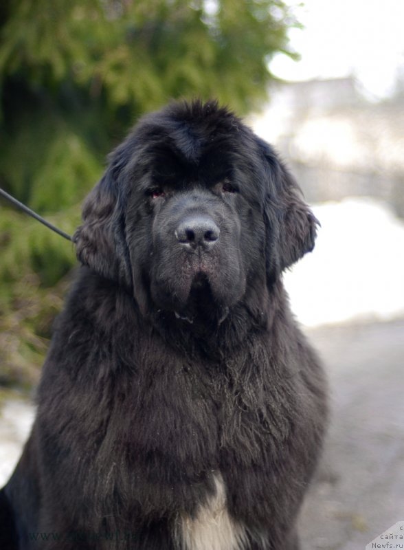 Фотография № 123008