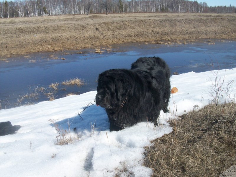 Фотография № 123024