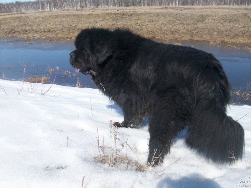 Фотография № 123025