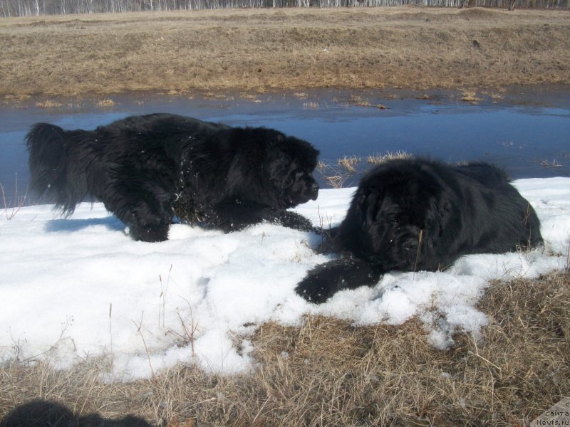 Фотография № 123026