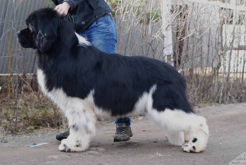 Фотография № 123040