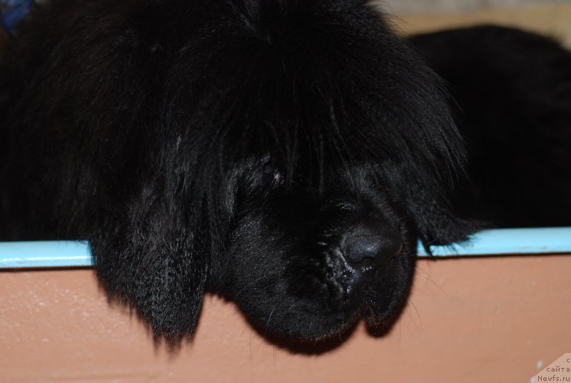 Фотография № 123044