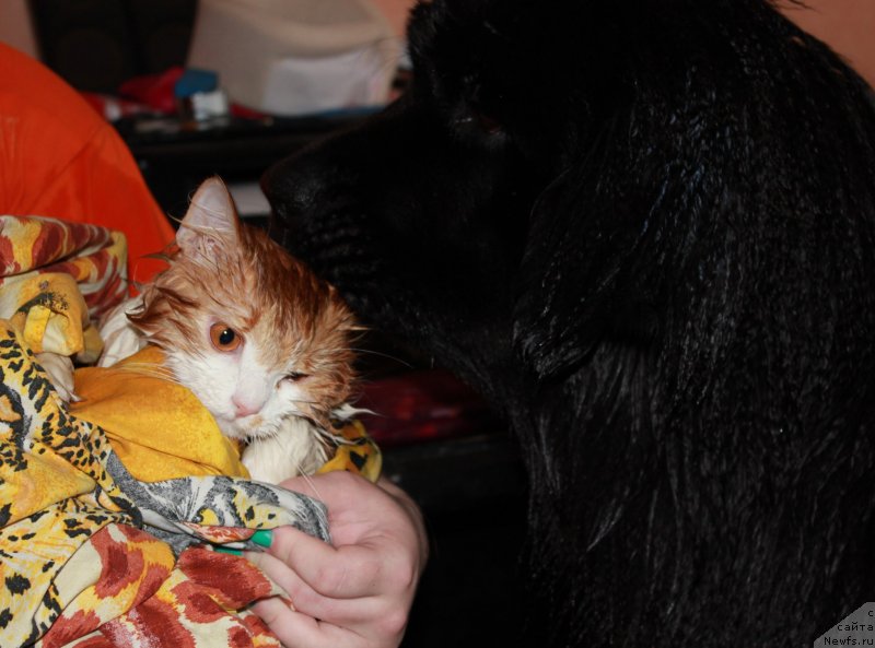 Фотография № 123072