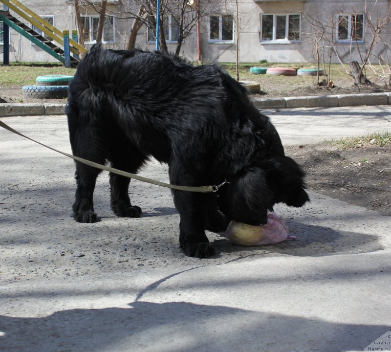 Фотография № 123081