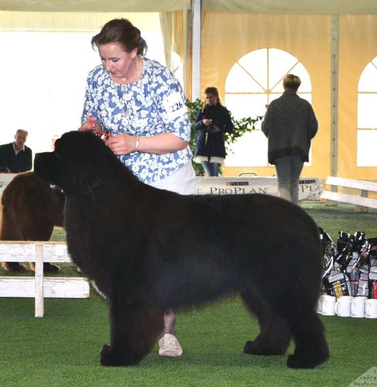 Фотография № 123109