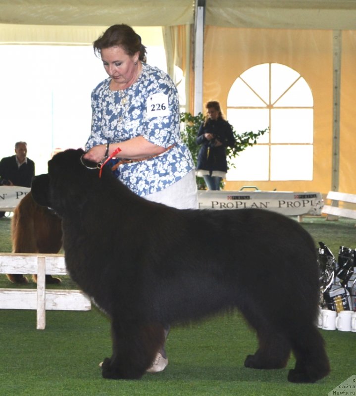 Фотография № 123110