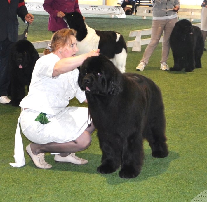 Фотография № 123112