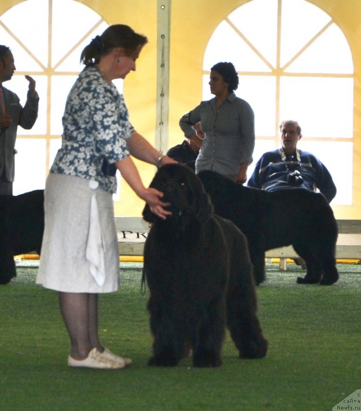 Фотография № 123114