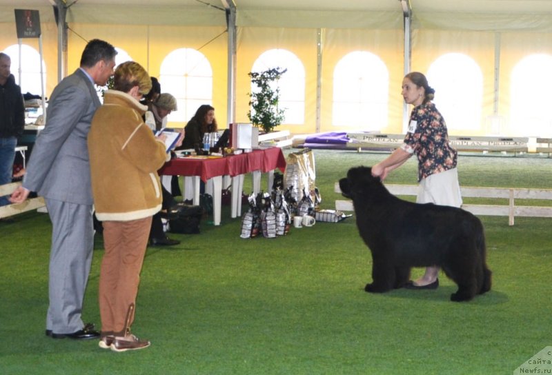 Фотография № 123118