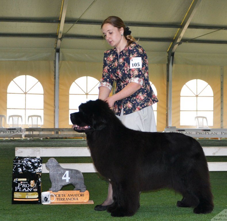 Фотография № 123120