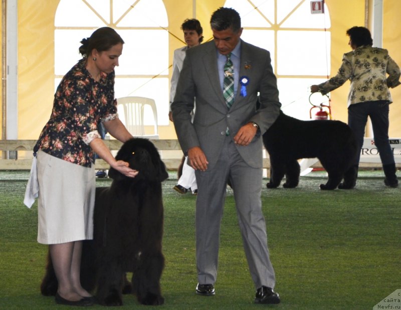 Фотография № 123122