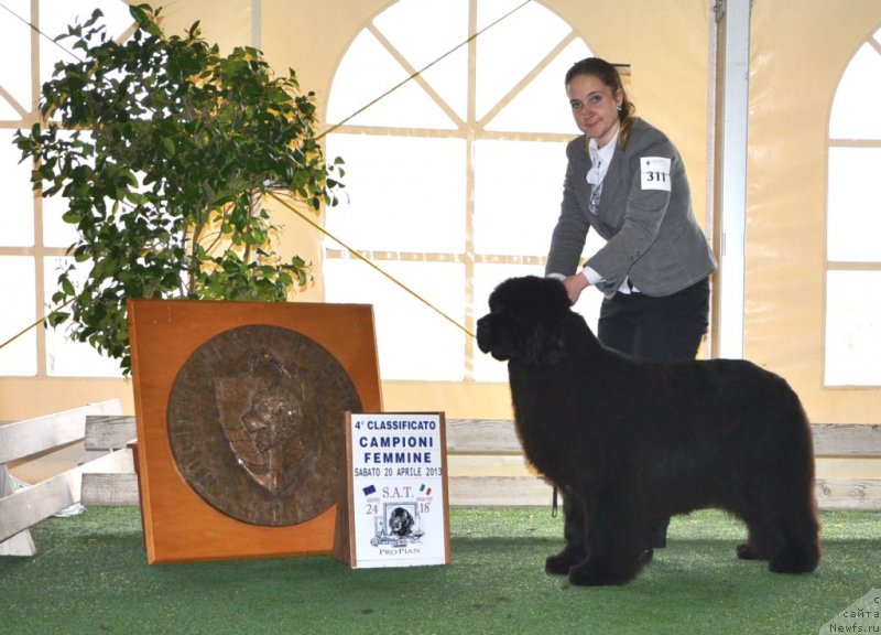 Фотография № 123125