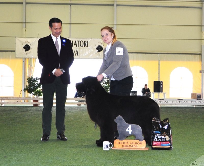 Фотография № 123127