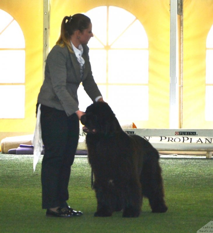 Фотография № 123128