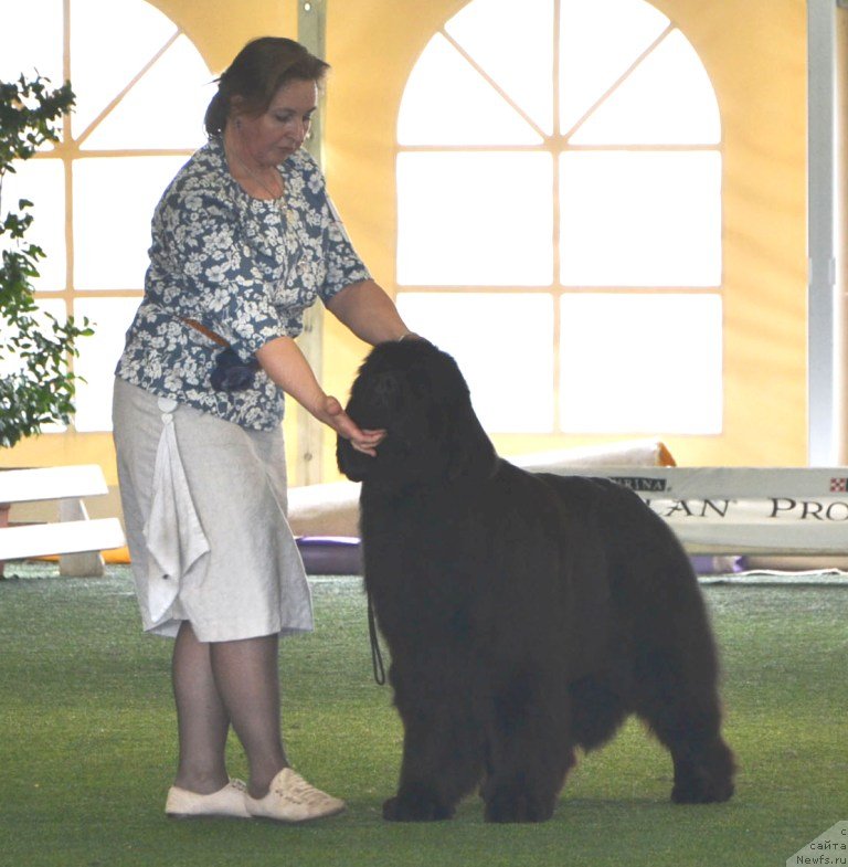 Фотография № 123129