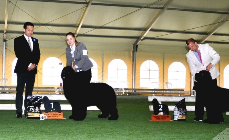 Фотография № 123130