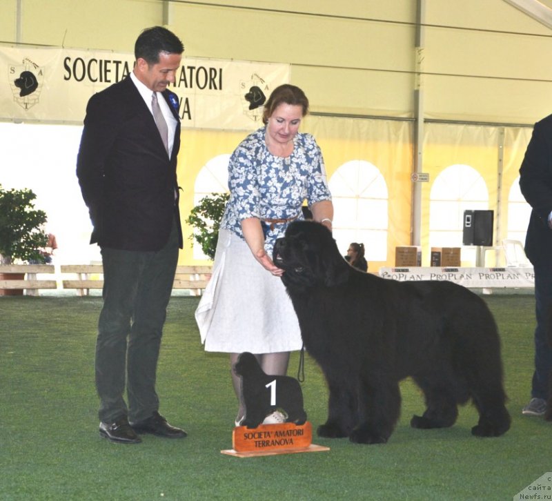 Фотография № 123137