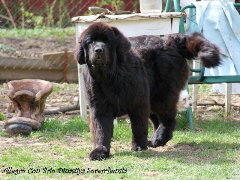 Фотография № 123147