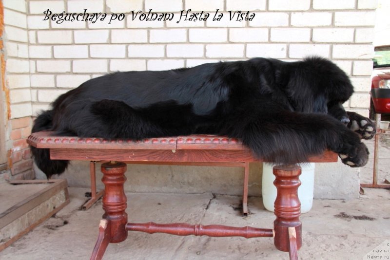 Фотография № 123152