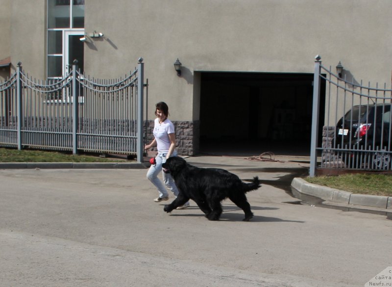 Фотография № 123254