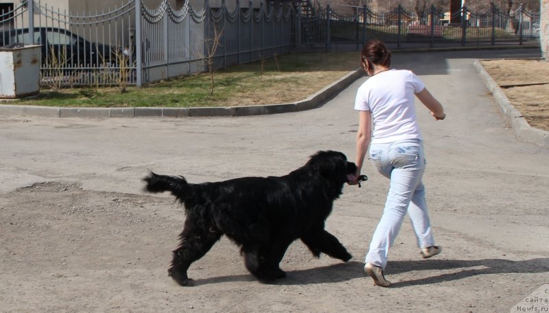 Фотография № 123255