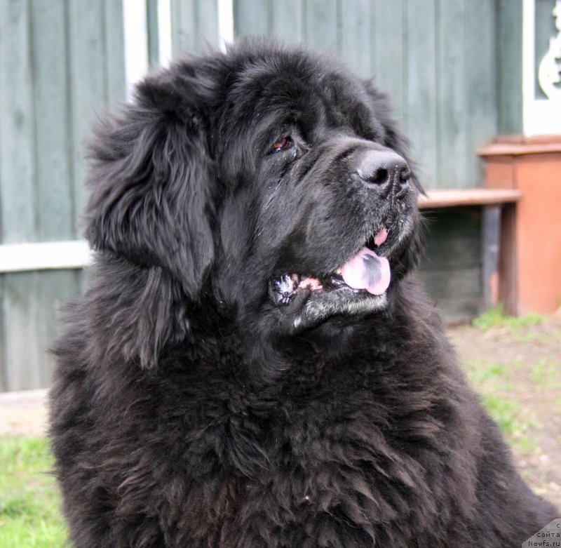 Фотография № 123260